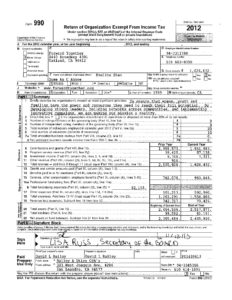 Image of 2012 Form 990