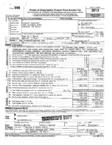 Image of 2013 Form 990
