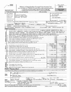 Image of 2015 Form 990