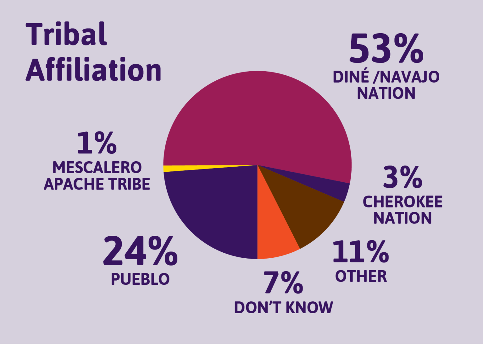 The Road to Reproductive Justice Native Americans in New Mexico
